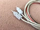 cord test